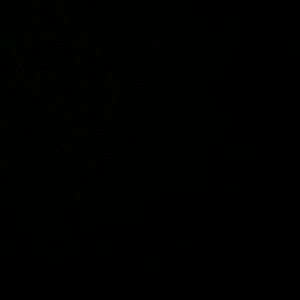 Meet your Posher, Jazmine